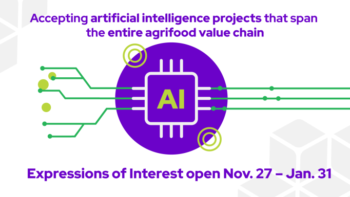 AI Nov call EN