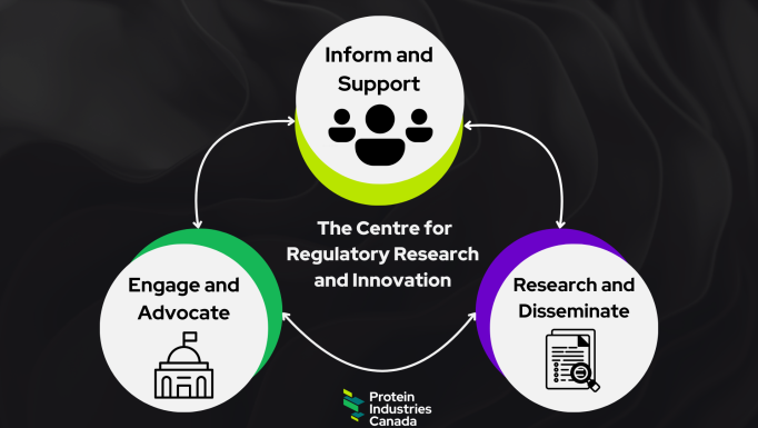 CRRI SEO image