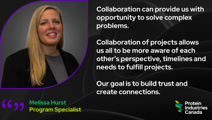 Importance of Collaboration EN