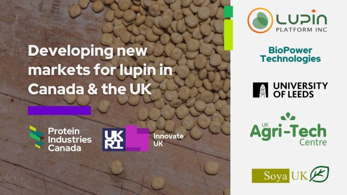 Lupin UK EN