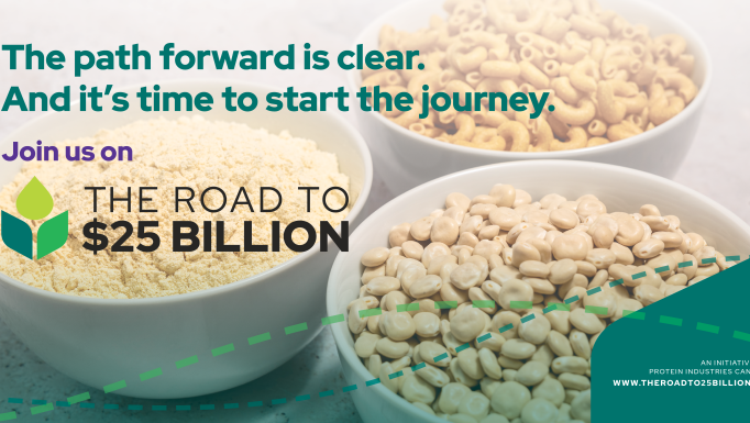 Roadmap Launch Graphic option 5
